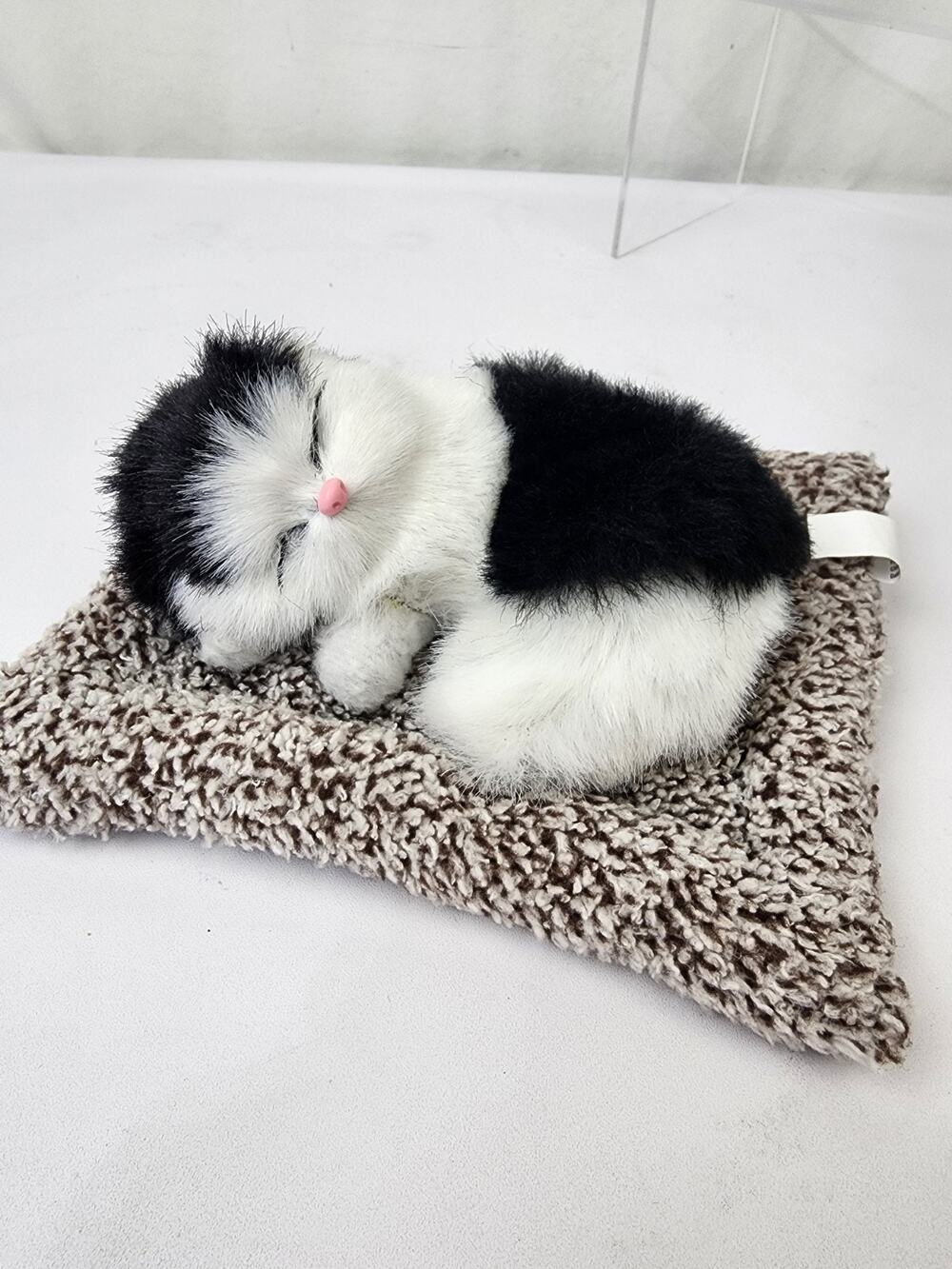Mini 5" Black White Kitten Sleeping on Pillow Meows when Belly is Pressed